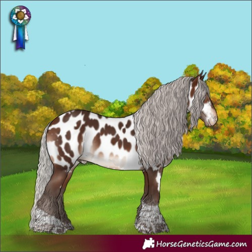 Horse Color:White Spotted Silver Brown Mushroom Tobiano Skewed LP Spotted Rabicano