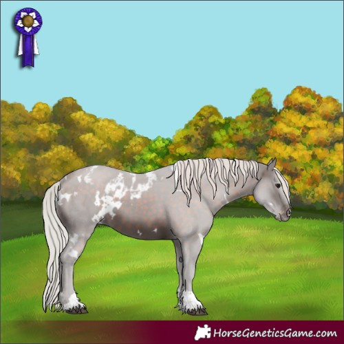 Horse Color:White Spotted Silver Brown Tobiano Skewed Appaloosa 
