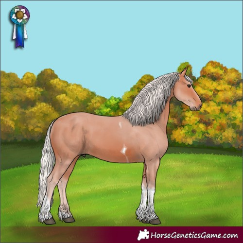 Horse Color:Silver Brown Tobiano Rabicano 