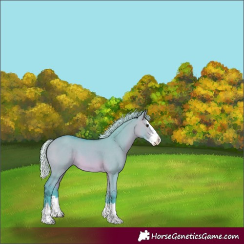 Horse Color:Watercolor Silver Brown Dun Sabino Splash