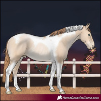 Horse Color:Smoky Black Pearl Tobiano Rabicano
