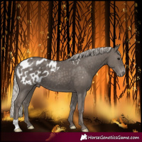 Horse Color:Silver Black Blanket