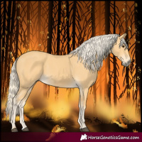 Horse Color:Palomino
