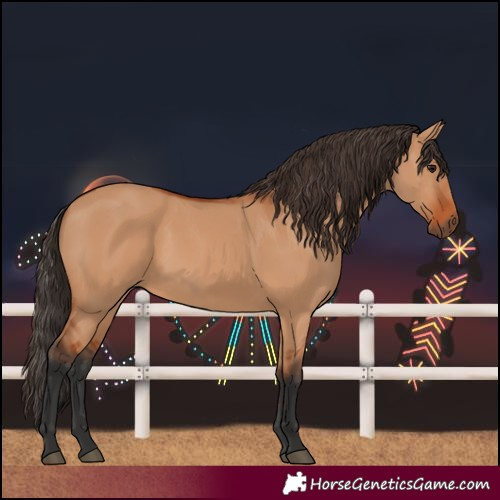 Horse Color:Bay Dun 
