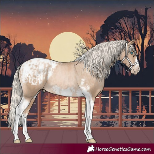 Horse Color:Chocolate Palomino Pearl Tobiano Frame and Chocolate Palomino Pearl Tobiano Frame Blanket
