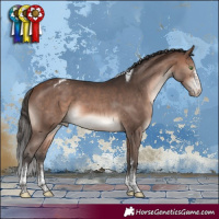 Horse Color:Brown Mushroom Sabino Tobiano Varnish