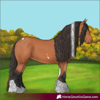 Horse Color:Bay Tobiano