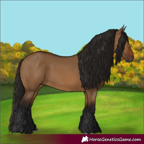 Horse Color:Gray Bay Dun