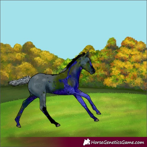 Horse Color:ERROR: UNKNOWN ANOMALY