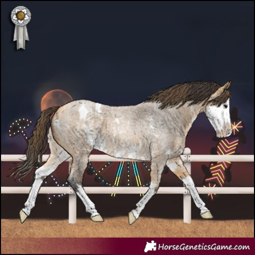 Horse Color:Buckskin Roan Sabino Splash  and Buckskin Roan Sabino Splash Blanket 