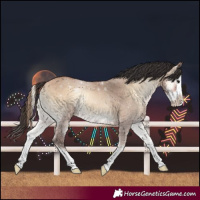 Horse Color:Bay Onyx Splash Rabicano
