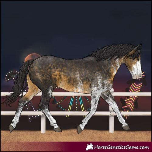 Horse Color:White Spotted Buckskin 