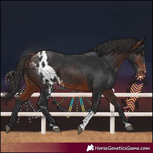 Horse Color:Brown Tobiano Skewed LP Spotted 