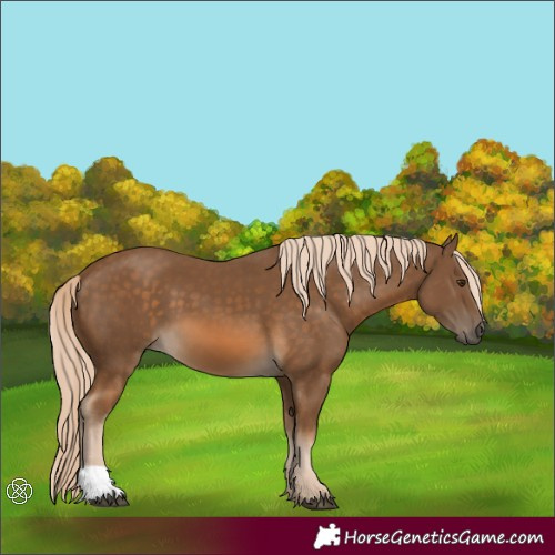 Horse Color:Chocolate Palomino