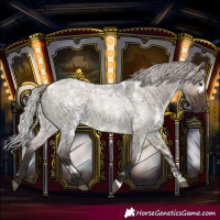 Horse Color:White Spotted Silver Brown Roan Dun
