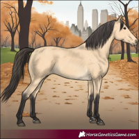 Horse Color:Buckskin 