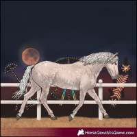 Horse Color:White Spotted Silver Black