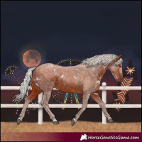Horse Color:White Spotted Silver Bay