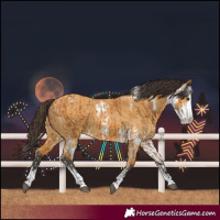 Horse Color:Buckskin Sabino  and Buckskin Dun Sabino 