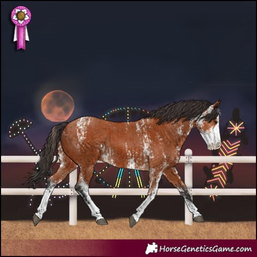 Horse Color:Bay Sabino  and Bay Sabino 