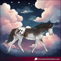 Horse Color:White Spotted Bay Blanket 