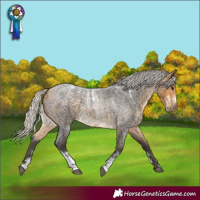 Horse Color:Powder White Silver Buckskin Roan 