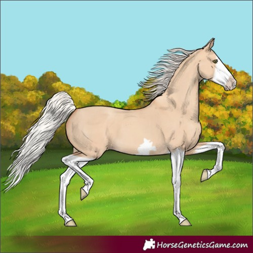 Horse Color:Silver Classic Champagne Dun Splash Frame