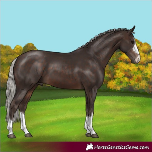Horse Color:Silver Brown
