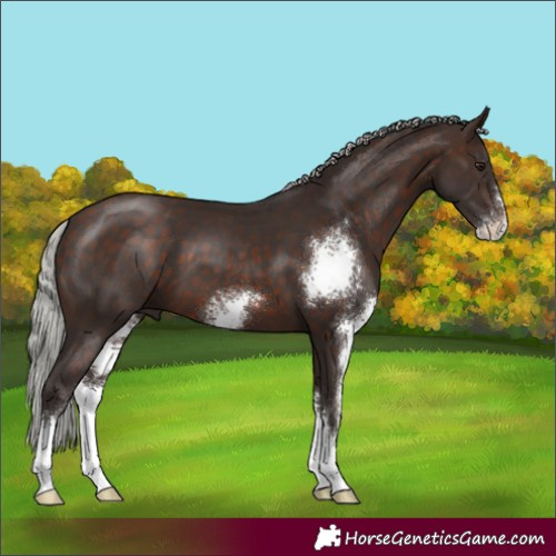 Horse Color:Silver Brown Sabino