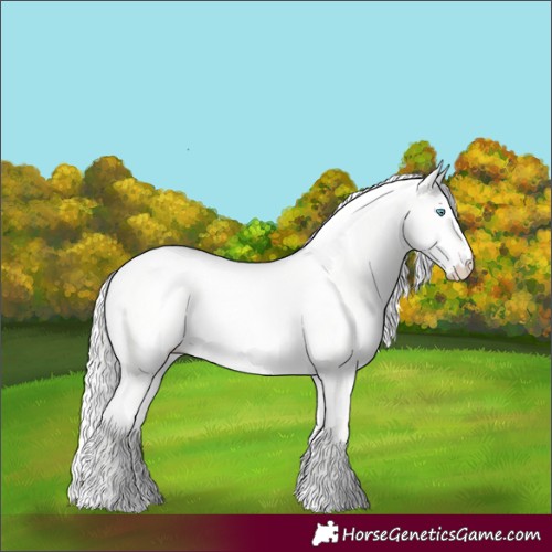 Horse Color:Cremello Roan Dun 