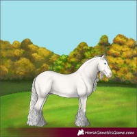 Horse Color:Cremello Roan Dun Splash 