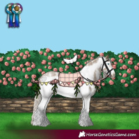 Horse Color:Silver Smoky Blue Roan Sabino Frame Rabicano 