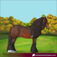 Horse Color:Bay Varnish 