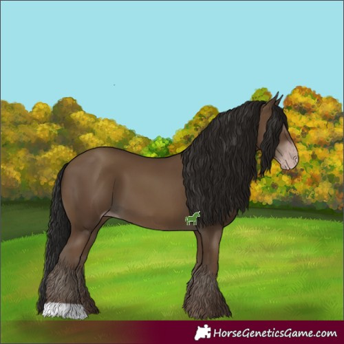 Horse Color:Gray Classic Champagne 