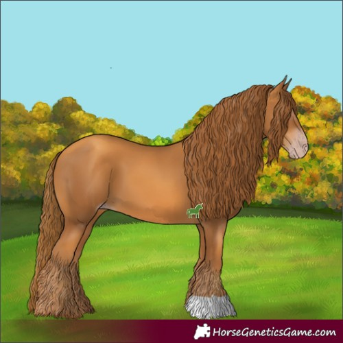 Horse Color:Gray Gold Champagne