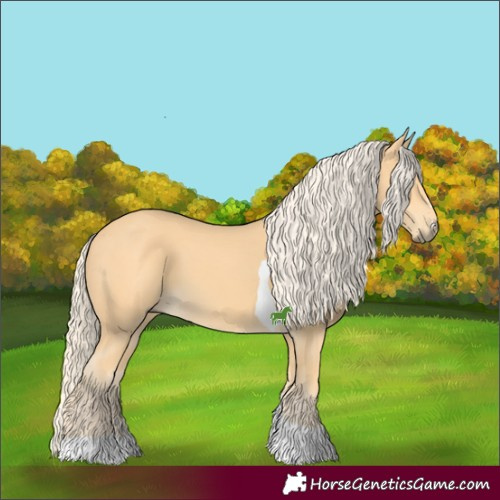 Horse Color:Palomino Tobiano
