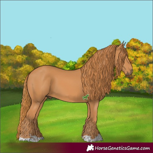 Horse Color:Chestnut 