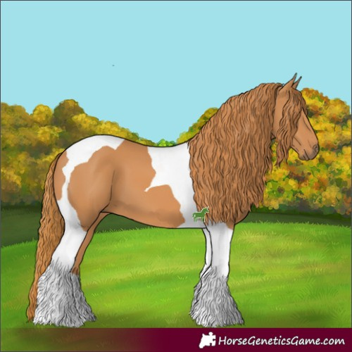 Horse Color:Chestnut Tobiano