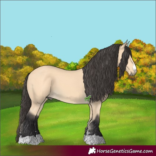 Horse Color:Buckskin