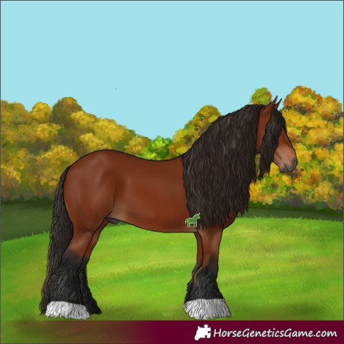 Horse Color:Gray Bay