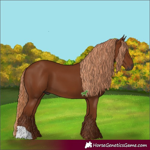 Horse Color:Gray Chestnut