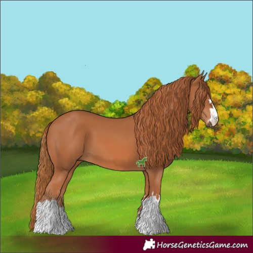 Horse Color:Chestnut 