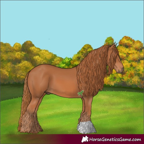 Horse Color:Chestnut 