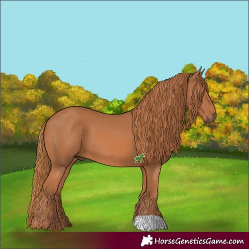 Horse Color:Chestnut 
