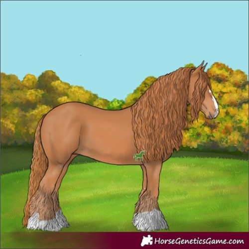 Horse Color:Chestnut 