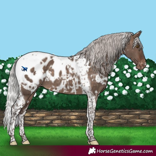 Horse Color:White Spotted Silver Brown Dun Mushroom Tobiano Blanket