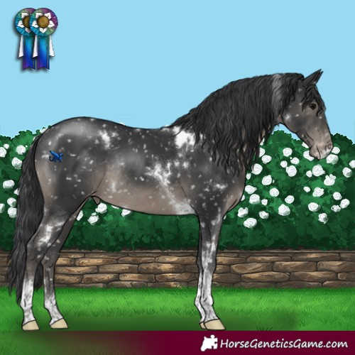 Horse Color:White Spotted Black Tobiano Snowflake Varnish Rabicano