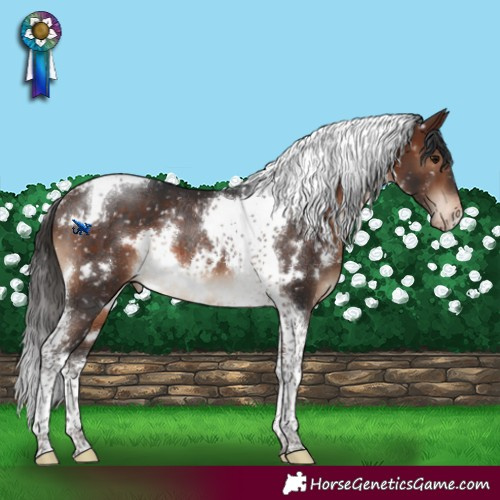 Horse Color:White Spotted Brown Tobiano Snowflake Varnish Rabicano