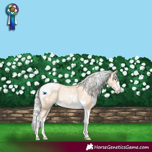 Horse Color:White Spotted Silver Sable Champagne Snowdrop Pearl Splash Tobiano