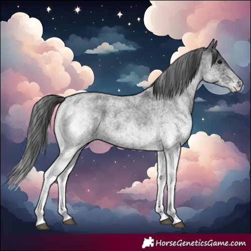 Horse Color:White Spotted Blue Roan